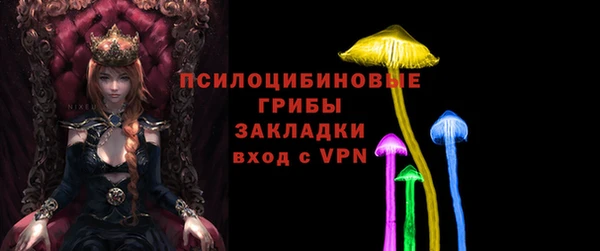 спиды Аркадак