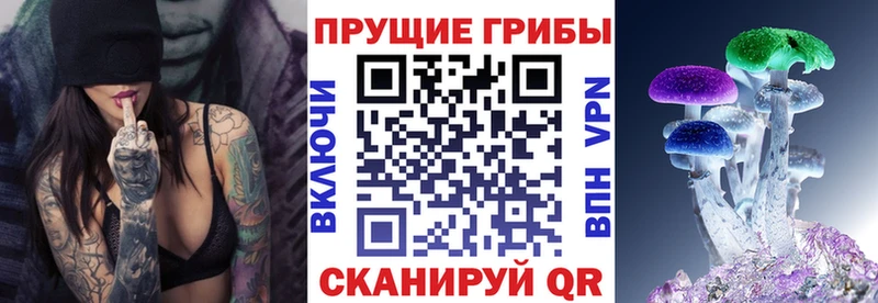 Псилоцибиновые грибы мицелий  наркота  Оха 
