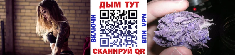 наркота  Оха  Конопля гибрид 
